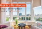 What is a Penthouse? Advantages and Disadvantages of Investing in a Penthouse